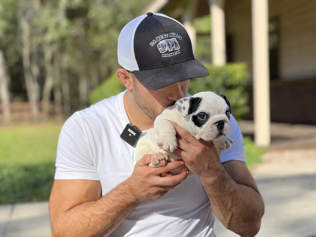 Jason Soares of DaBestBulls Ranch kissing a black and white English bulldog puppy
