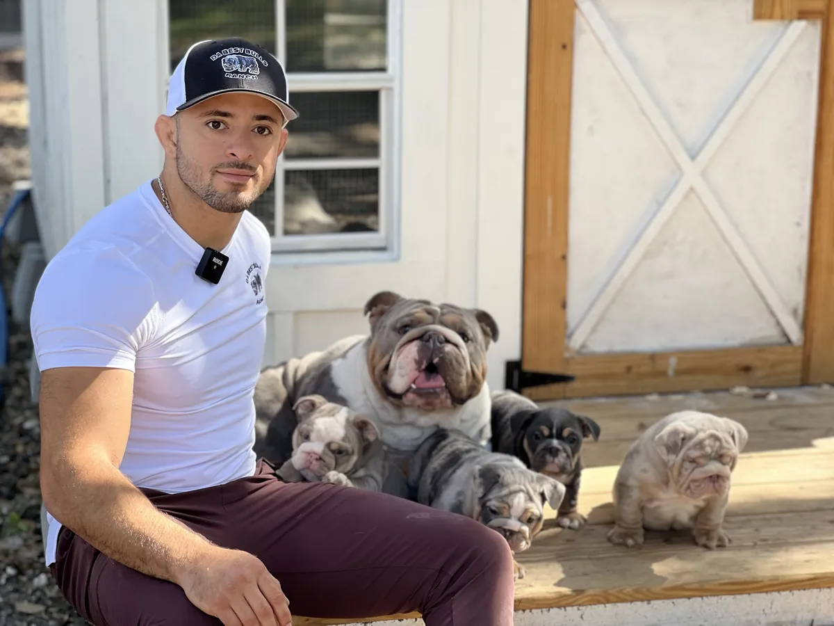 Jason Soares with an adult English bulldog and her four puppies at DaBestBulls Ranch